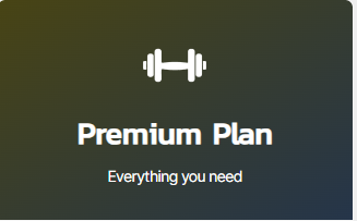 Plan Premium – Anual